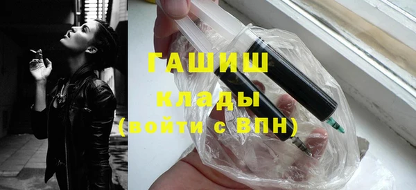 амф Гусев