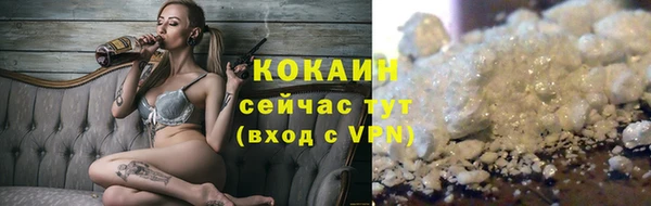 амф Гусев