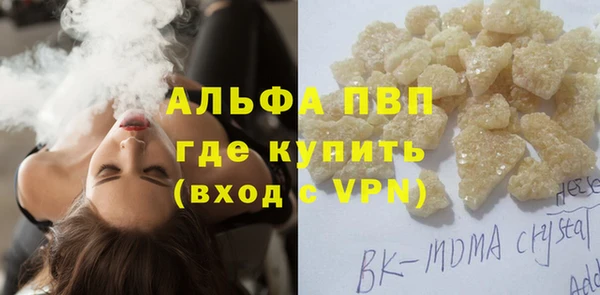 амф Гусев