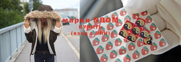 амф Гусев