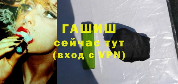 амф Гусев
