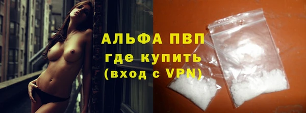 амф Гусев