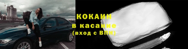 амф Гусев