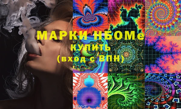 амф Гусев