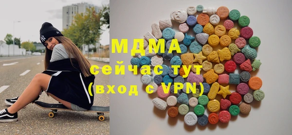 амф Гусев