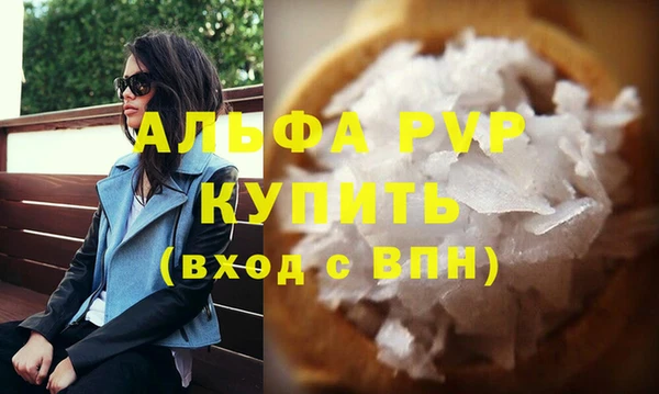 амф Гусев