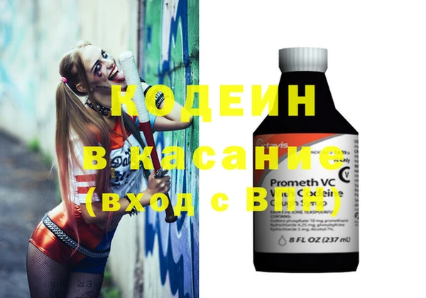 амф Гусев