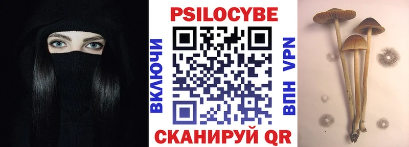 Купить закладки  Чапаевск  Псилоцибиновые грибы мицелий 