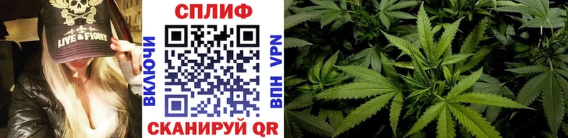 Купить где  Чапаевск  МАРИХУАНА планчик 